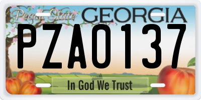 GA license plate PZA0137