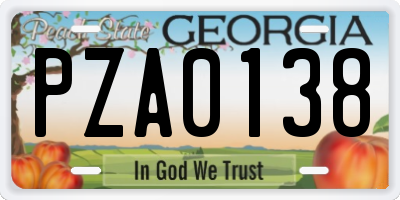 GA license plate PZA0138