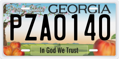 GA license plate PZA0140