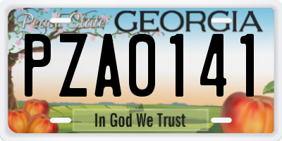 GA license plate PZA0141
