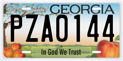 GA license plate PZA0144