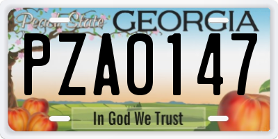 GA license plate PZA0147