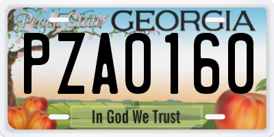 GA license plate PZA0160