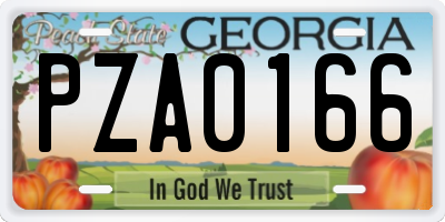 GA license plate PZA0166