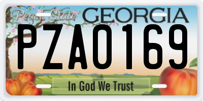 GA license plate PZA0169
