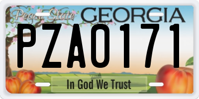 GA license plate PZA0171