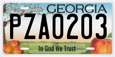 GA license plate PZA0203