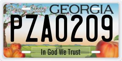 GA license plate PZA0209