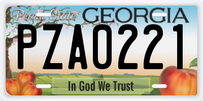 GA license plate PZA0221
