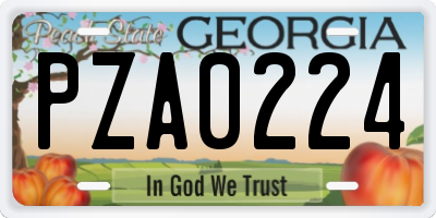 GA license plate PZA0224