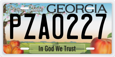 GA license plate PZA0227