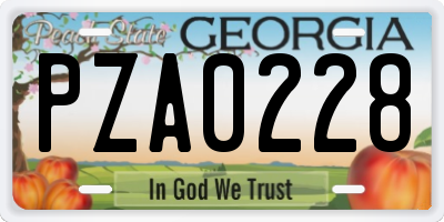 GA license plate PZA0228