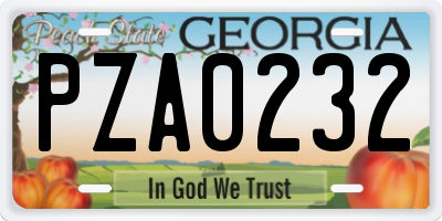GA license plate PZA0232