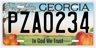 GA license plate PZA0234