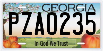 GA license plate PZA0235