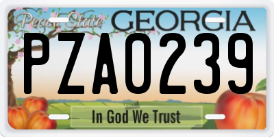 GA license plate PZA0239