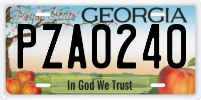 GA license plate PZA0240