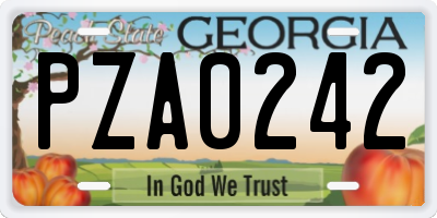 GA license plate PZA0242