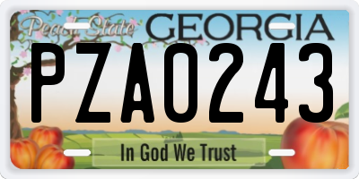 GA license plate PZA0243