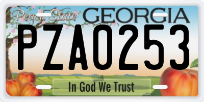 GA license plate PZA0253