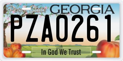 GA license plate PZA0261