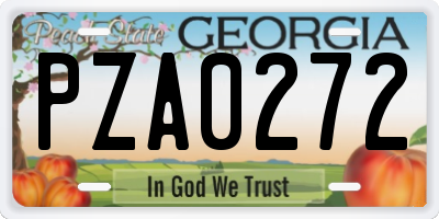 GA license plate PZA0272