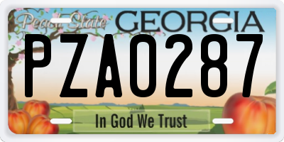 GA license plate PZA0287