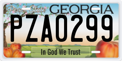 GA license plate PZA0299