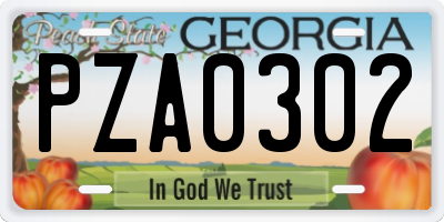 GA license plate PZA0302