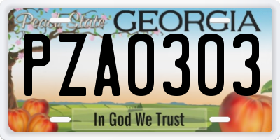 GA license plate PZA0303
