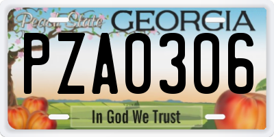 GA license plate PZA0306