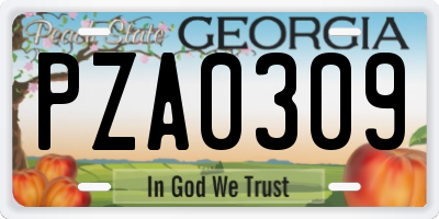 GA license plate PZA0309