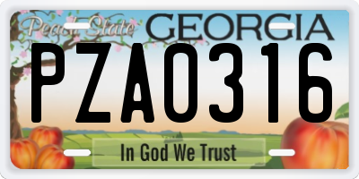 GA license plate PZA0316