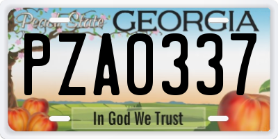 GA license plate PZA0337