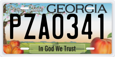 GA license plate PZA0341