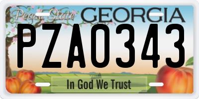 GA license plate PZA0343