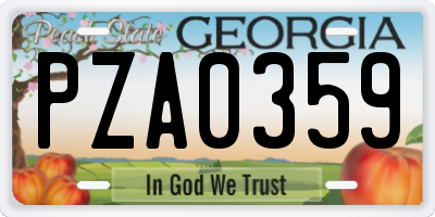 GA license plate PZA0359