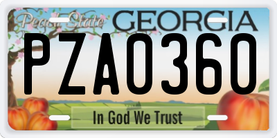 GA license plate PZA0360