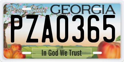 GA license plate PZA0365