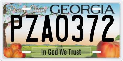 GA license plate PZA0372