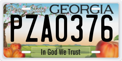 GA license plate PZA0376