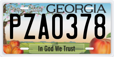 GA license plate PZA0378
