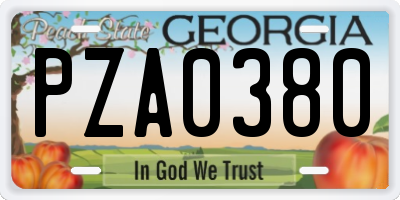 GA license plate PZA0380