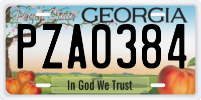 GA license plate PZA0384