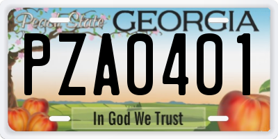 GA license plate PZA0401