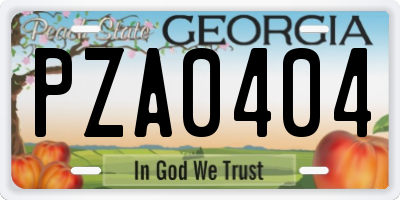 GA license plate PZA0404