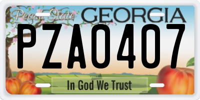 GA license plate PZA0407