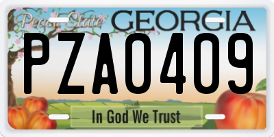 GA license plate PZA0409