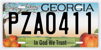 GA license plate PZA0411