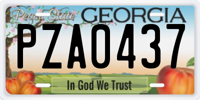 GA license plate PZA0437